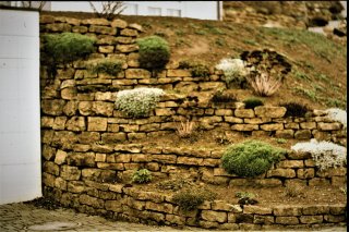 Trockenmauer aufbau mit Bauseits vorhandenen Gestein